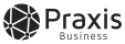 praxis-business logo
